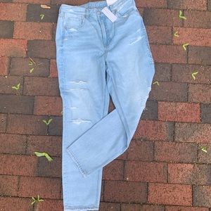 American Eagle Distressed Straight Leg Jeans